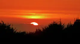 DSCN8471.webp