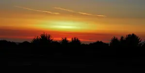 DSCN8476.webp