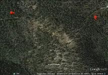 Hicks2-Nobody.webp
