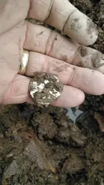 KIMG0066.webp KIMG0066.webp
