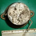 DSCF0007.webp