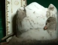 DSCF0009.webp
