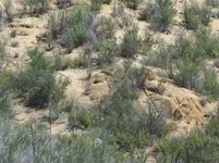 100_7506.webp