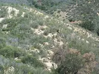 100_7516.webp