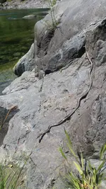 20150503_131104.webp