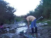 3 inch super gold sucker.webp