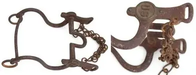 Bridle Bit.webp