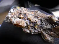 Gold Trail 1.webp