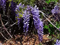 K1600_018.webp K1600_018.webp