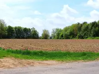 K1600_017.webp