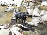 20150502_120024.webp 20150502_120024.webp