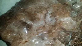 1429141000982.webp