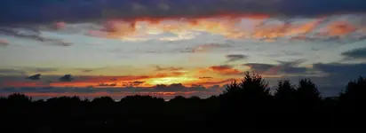 DSCN8269.webp