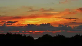 DSCN8272.webp