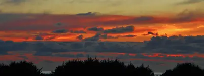 DSCN8288.webp