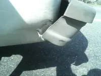 untitled possums owie.webp