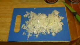 DSCN8447.webp