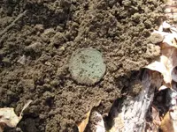 cellar 2 hunt 013.webp