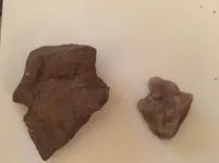 Arrowheads?.webp