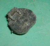 DSCF0003.webp