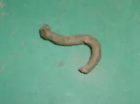 DSCF0001.webp