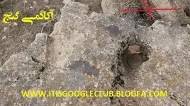 41185847150077158677.webp