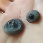 IMG_20150117_102724.webp