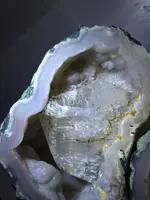 ImageUploadedByTreasureNet.com1428566507.939342.webp