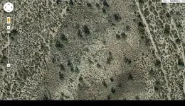 VM3lbGNCloseup.webp