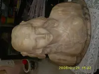 S5030886.webp