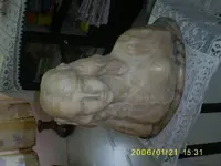 S5030885.webp