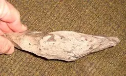 spearhead 007.webp