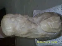 S5030892.webp