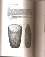 Celt Description.webp