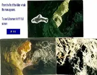 ssmanwhale3.webp