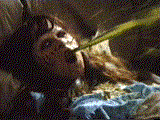 exorsamples.gif