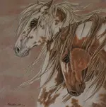 8x8 Desert Mustangs e-mail.webp