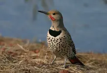 marsh 3 - 23 - 6 032_RT8.webp