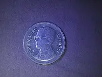 PIC_0913.webp