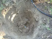 DSCN9212.webp