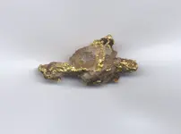 GoldNugget2.webp