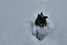 sno 11 - 27 - 6 015.webp