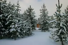 sno 11 - 27 - 6 008.webp