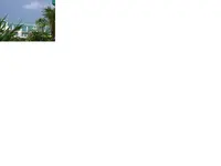 GULF PHOTO.webp