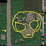 Alien and wooly worm landing strips.webp