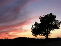 448061578_188abd48df copy.webp