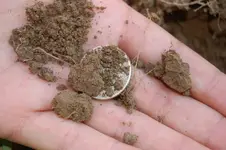 Silver Spill 4.webp