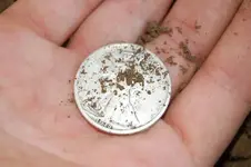 Silver Spill 8.webp