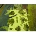 coins 44444444.webp