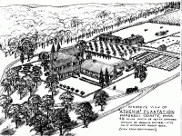 Athenia Plantation.gif